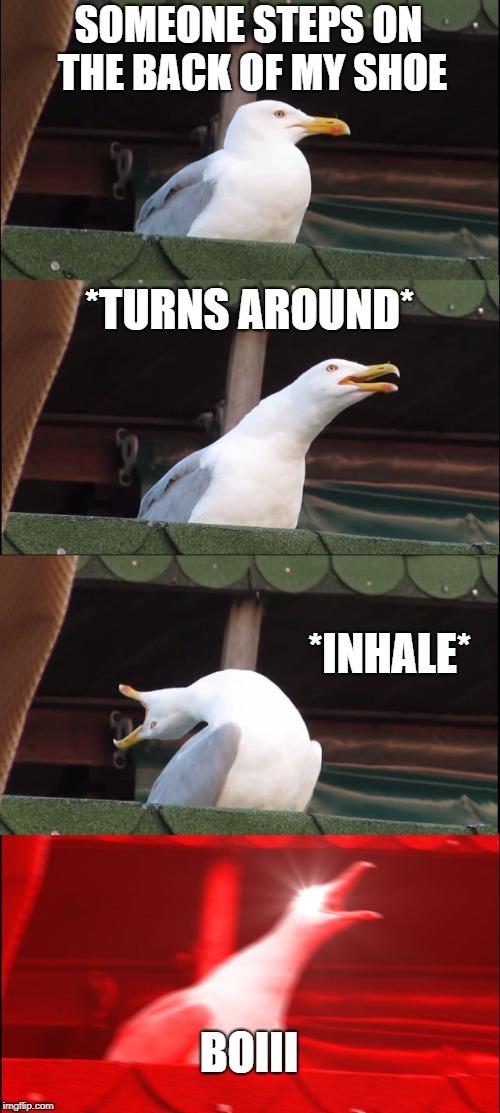 Seriously though! | SOMEONE STEPS ON THE BACK OF MY SHOE; *TURNS AROUND*; *INHALE*; BOIII | image tagged in memes,inhaling seagull | made w/ Imgflip meme maker