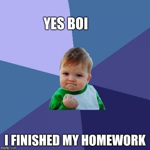 Success Kid Meme | YES BOI; I FINISHED MY HOMEWORK | image tagged in memes,success kid | made w/ Imgflip meme maker