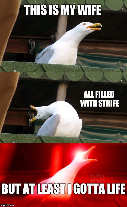 a poem of life | THIS IS MY WIFE; ALL FILLED WITH STRIFE; BUT AT LEAST I GOTTA LIFE | image tagged in inhaling seagull,poetry,poem,poet | made w/ Imgflip meme maker