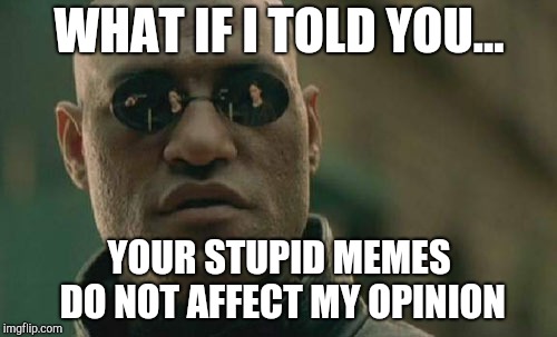 Matrix Morpheus | WHAT IF I TOLD YOU... YOUR STUPID MEMES DO NOT AFFECT MY OPINION | image tagged in memes,matrix morpheus | made w/ Imgflip meme maker