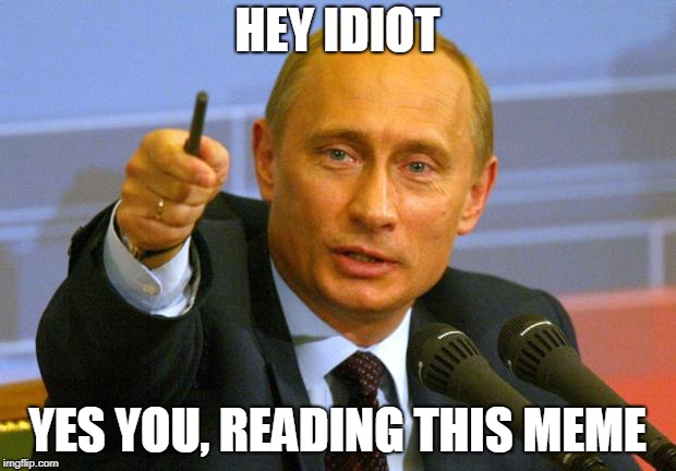 Good Guy Putin | HEY IDIOT; YES YOU, READING THIS MEME | image tagged in memes,good guy putin | made w/ Imgflip meme maker