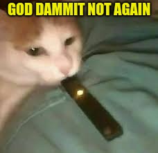 GOD DAMMIT NOT AGAIN | image tagged in funny,cats,vapecat | made w/ Imgflip meme maker