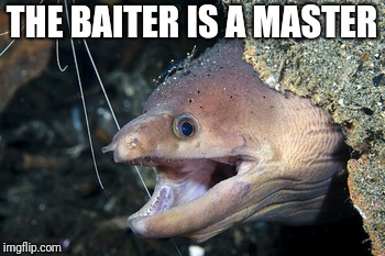 Happy Eel | THE BAITER IS A MASTER | image tagged in happy eel | made w/ Imgflip meme maker