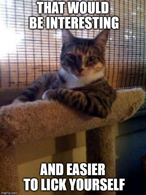 The Most Interesting Cat In The World Meme | THAT WOULD BE INTERESTING AND EASIER TO LICK YOURSELF | image tagged in memes,the most interesting cat in the world | made w/ Imgflip meme maker