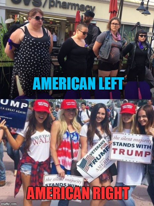 Beauty and the Beast | AMERICAN LEFT; AMERICAN RIGHT | image tagged in left,right,maga,antifa,sjw,patriots | made w/ Imgflip meme maker