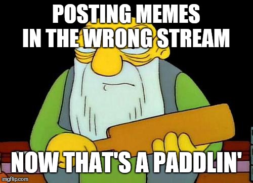 That's a paddlin' Meme | POSTING MEMES IN THE WRONG STREAM; NOW THAT'S A PADDLIN' | image tagged in memes,that's a paddlin' | made w/ Imgflip meme maker