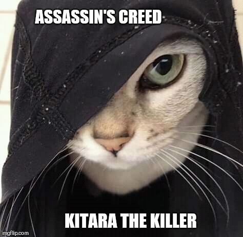 Kat-fu | ASSASSIN'S CREED; KITARA THE KILLER | image tagged in cats,assassins creed | made w/ Imgflip meme maker
