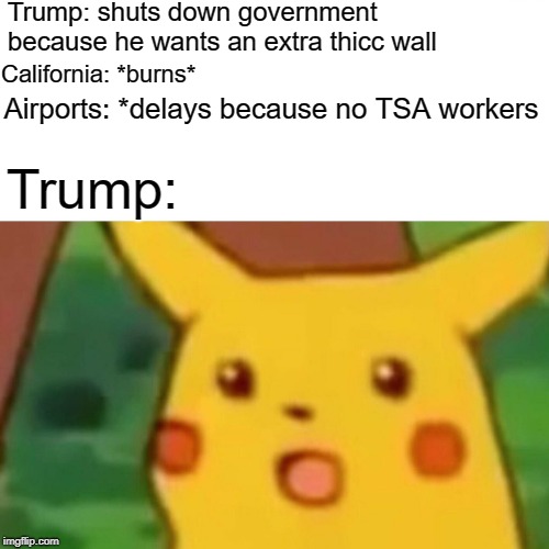 Surprised Pikachu | Trump: shuts down government because he wants an extra thicc wall; California: *burns*; Airports: *delays because no TSA workers; Trump: | image tagged in memes,surprised pikachu | made w/ Imgflip meme maker