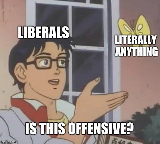 Is This A Pigeon Meme | LIBERALS LITERALLY ANYTHING IS THIS OFFENSIVE? | image tagged in memes,is this a pigeon | made w/ Imgflip meme maker