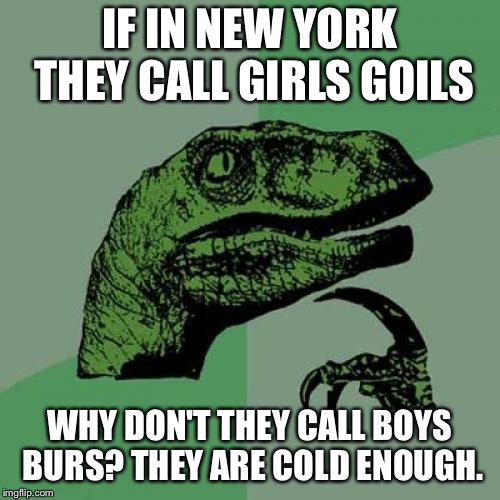 Philosoraptor Meme | IF IN NEW YORK THEY CALL GIRLS GOILS; WHY DON'T THEY CALL BOYS BURS? THEY ARE COLD ENOUGH. | image tagged in memes,philosoraptor,new york | made w/ Imgflip meme maker