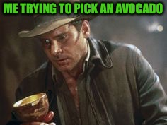 Indy and the Grail | ME TRYING TO PICK AN AVOCADO | image tagged in indy and the grail | made w/ Imgflip meme maker