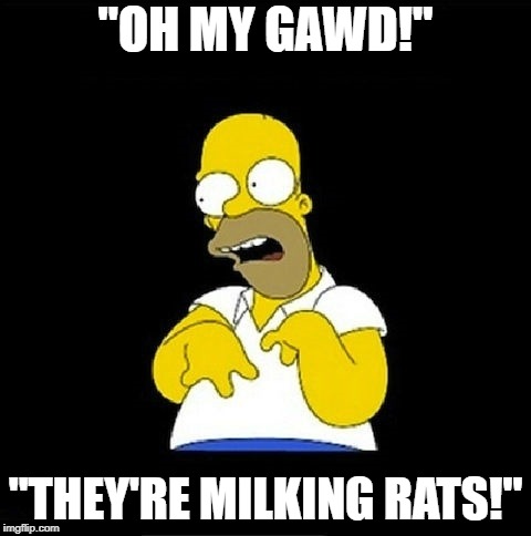 Homer Simpson Retarded | "OH MY GAWD!" "THEY'RE MILKING RATS!" | image tagged in homer simpson retarded | made w/ Imgflip meme maker