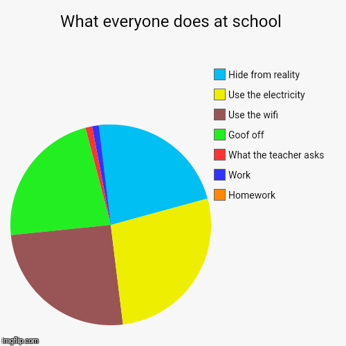 What everyone does at school | Homework , Work, What the teacher asks, Goof off, Use the wifi, Use the electricity , Hide from reality | image tagged in funny,pie charts | made w/ Imgflip chart maker