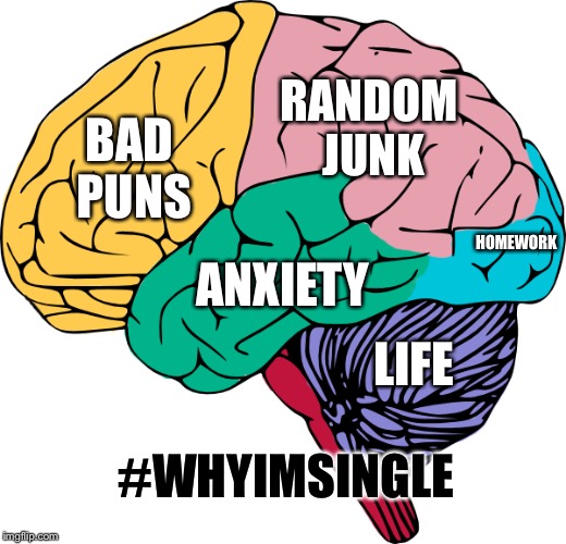 #WhyimSingle | RANDOM JUNK; BAD PUNS; HOMEWORK; ANXIETY; LIFE; #WHYIMSINGLE | image tagged in brain sections,brain,single,forever alone,funny | made w/ Imgflip meme maker