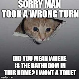 Ceiling Cat | SORRY MAN TOOK A WRONG TURN; DID YOU MEAN WHERE IS THE BATHROOM IN THIS HOME?
I WONT A TOILET | image tagged in memes,ceiling cat | made w/ Imgflip meme maker