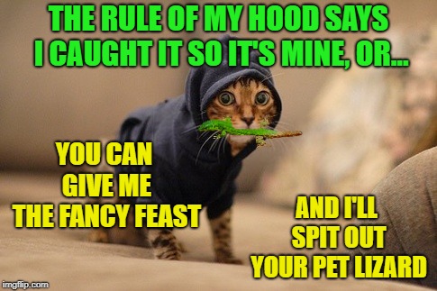What is it with cats chasing lizards? | THE RULE OF MY HOOD SAYS I CAUGHT IT SO IT'S MINE, OR... YOU CAN GIVE ME THE FANCY FEAST; AND I'LL SPIT OUT YOUR PET LIZARD | image tagged in memes,hoody cat,lizard,cats,fair trade | made w/ Imgflip meme maker