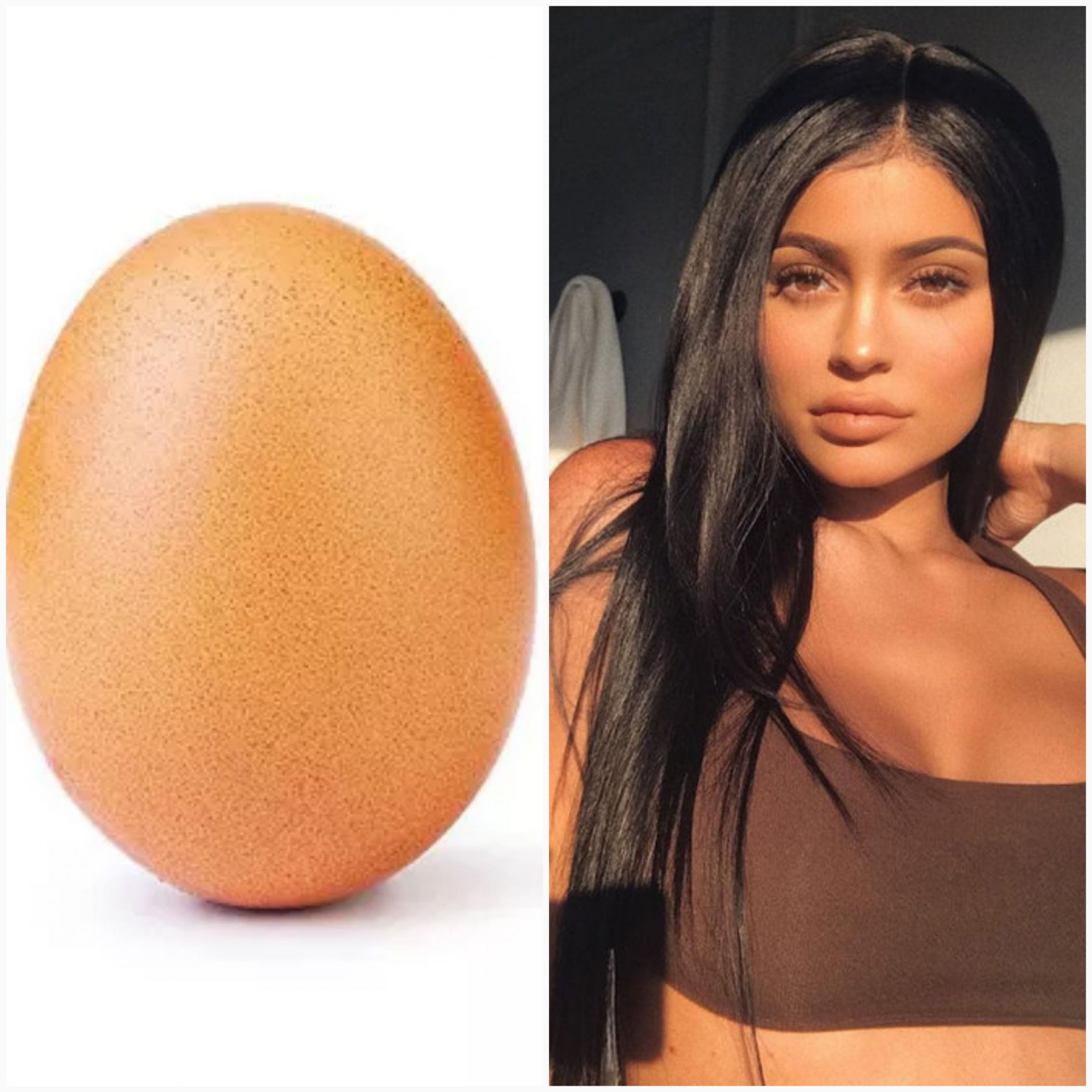 Kylie Brown Egg Blank Meme Template