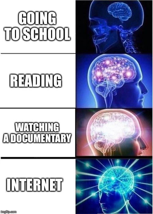 Expanding Brain | GOING TO SCHOOL; READING; WATCHING A DOCUMENTARY; INTERNET | image tagged in memes,expanding brain | made w/ Imgflip meme maker