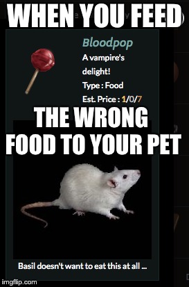 WHEN YOU FEED; THE WRONG FOOD TO YOUR PET | made w/ Imgflip meme maker