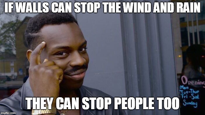 Roll Safe Think About It Meme | IF WALLS CAN STOP THE WIND AND RAIN; THEY CAN STOP PEOPLE TOO | image tagged in memes,roll safe think about it | made w/ Imgflip meme maker