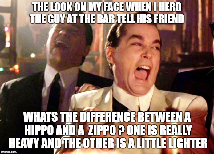 Good Fellas Hilarious Meme | THE LOOK ON MY FACE WHEN I HERD THE GUY AT THE BAR TELL HIS FRIEND; WHATS THE DIFFERENCE BETWEEN A HIPPO AND A  ZIPPO ? ONE IS REALLY HEAVY AND THE OTHER IS A LITTLE LIGHTER | image tagged in memes,good fellas hilarious | made w/ Imgflip meme maker