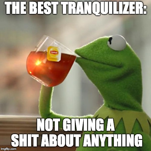 Not giving a shit | THE BEST TRANQUILIZER:; NOT GIVING A SHIT ABOUT ANYTHING | image tagged in memes,but thats none of my business,kermit the frog | made w/ Imgflip meme maker