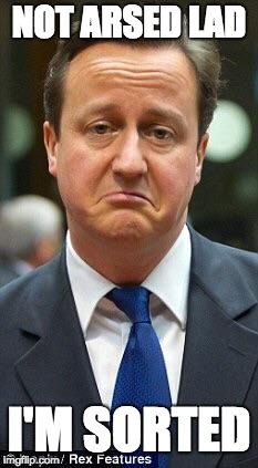 David cameron | NOT ARSED LAD; I'M SORTED | image tagged in david cameron | made w/ Imgflip meme maker