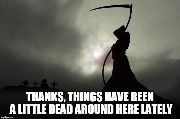 THANKS, THINGS HAVE BEEN A LITTLE DEAD AROUND HERE LATELY | made w/ Imgflip meme maker