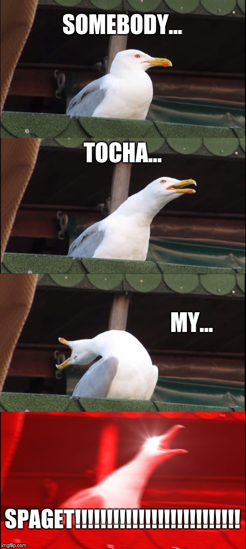 Inhaling Seagull Meme | SOMEBODY... TOCHA... MY... SPAGET!!!!!!!!!!!!!!!!!!!!!!!!!! | image tagged in memes,inhaling seagull | made w/ Imgflip meme maker