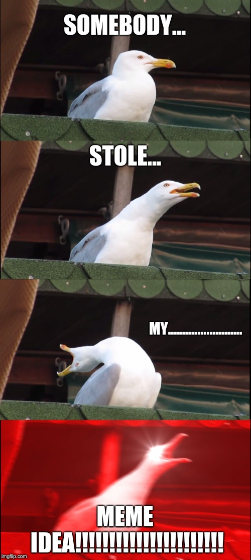 Inhaling Seagull | SOMEBODY... STOLE... MY......................... MEME IDEA!!!!!!!!!!!!!!!!!!!!!! | image tagged in memes,inhaling seagull | made w/ Imgflip meme maker