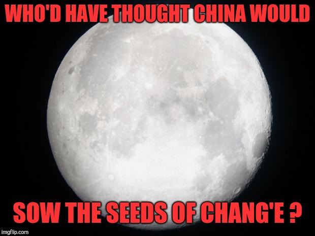The People's Republic of the Moon? | WHO'D HAVE THOUGHT CHINA WOULD; SOW THE SEEDS OF CHANG'E ? | image tagged in full moon,space,china,science,agriculture,puns | made w/ Imgflip meme maker