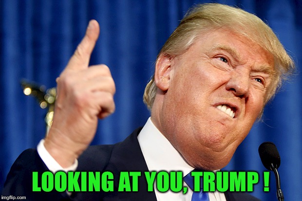 Donald Trump | LOOKING AT YOU, TRUMP ! | image tagged in donald trump | made w/ Imgflip meme maker