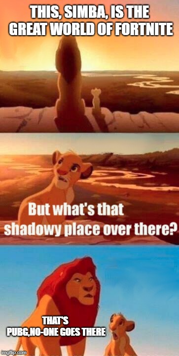 Simba Shadowy Place | THIS, SIMBA, IS THE GREAT WORLD OF FORTNITE; THAT'S PUBG,NO-ONE GOES THERE | image tagged in memes,simba shadowy place | made w/ Imgflip meme maker