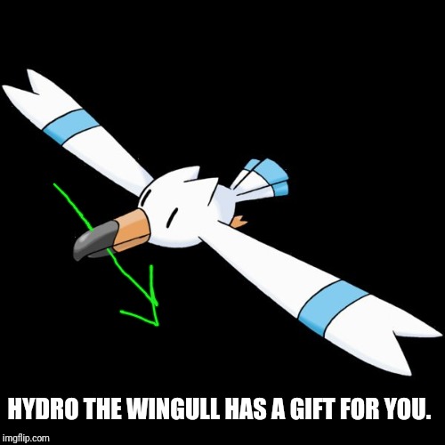 HYDRO THE WINGULL HAS A GIFT FOR YOU. | image tagged in hydro the wingull | made w/ Imgflip meme maker