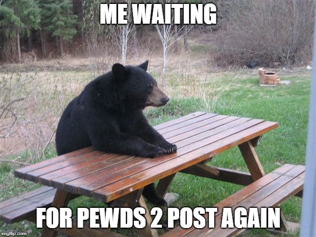 Patient Bear | ME WAITING; FOR PEWDS 2 POST AGAIN | image tagged in patient bear | made w/ Imgflip meme maker