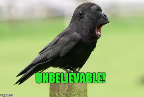 animals | UNBELIEVABLE! | image tagged in animals | made w/ Imgflip meme maker
