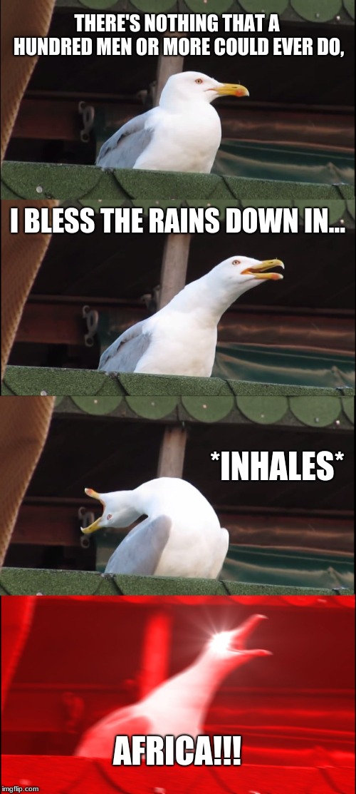 Inhaling Seagull | THERE'S NOTHING THAT A HUNDRED MEN OR MORE COULD EVER DO, I BLESS THE RAINS DOWN IN... *INHALES*; AFRICA!!! | image tagged in memes,inhaling seagull | made w/ Imgflip meme maker