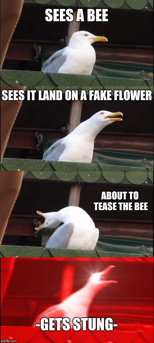 Inhaling Seagull | SEES A BEE; SEES IT LAND ON A FAKE FLOWER; ABOUT TO TEASE THE BEE; -GETS STUNG- | image tagged in memes,inhaling seagull | made w/ Imgflip meme maker