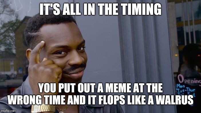 Roll Safe Think About It Meme | IT'S ALL IN THE TIMING YOU PUT OUT A MEME AT THE WRONG TIME AND IT FLOPS LIKE A WALRUS | image tagged in memes,roll safe think about it | made w/ Imgflip meme maker