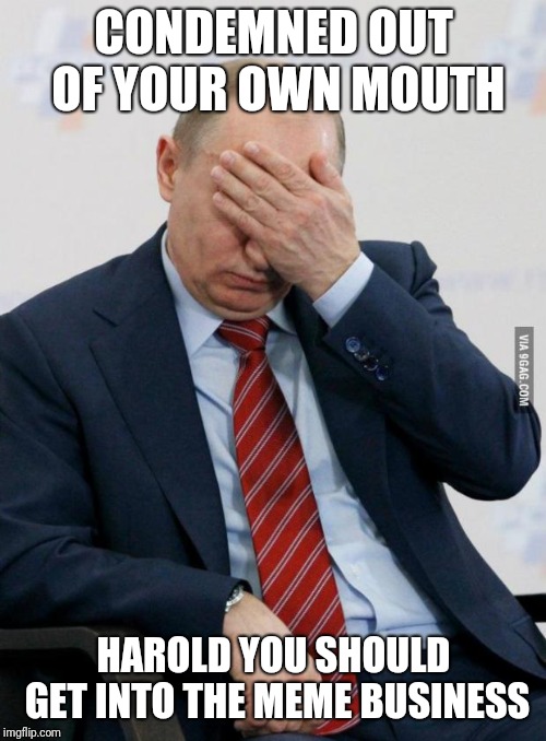 Putin Facepalm | CONDEMNED OUT OF YOUR OWN MOUTH HAROLD YOU SHOULD GET INTO THE MEME BUSINESS | image tagged in putin facepalm | made w/ Imgflip meme maker