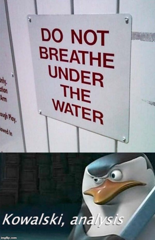 wat? | image tagged in kowalski analysis,stupid,signs,funny,memes | made w/ Imgflip meme maker