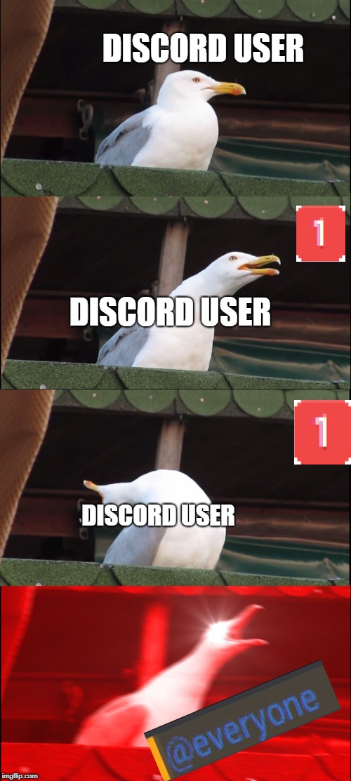 Inhaling Seagull Meme | DISCORD USER; DISCORD USER; DISCORD USER | image tagged in memes,inhaling seagull,discord,everyone,best meme | made w/ Imgflip meme maker