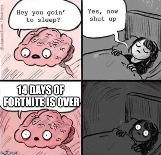 waking up brain | 14 DAYS OF FORTNITE IS OVER | image tagged in waking up brain | made w/ Imgflip meme maker