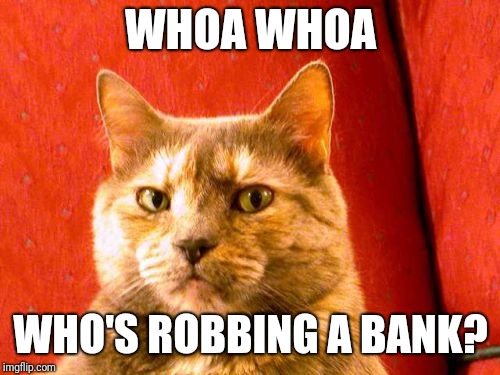 Suspicious Cat Meme | WHOA WHOA WHO'S ROBBING A BANK? | image tagged in memes,suspicious cat | made w/ Imgflip meme maker