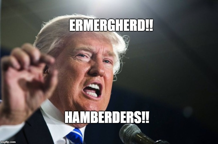 donald trump | ERMERGHERD!! HAMBERDERS!! | image tagged in donald trump | made w/ Imgflip meme maker