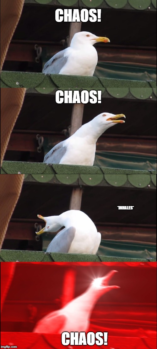 Inhaling Seagull | CHAOS! CHAOS! *INHALES*; CHAOS! | image tagged in memes,inhaling seagull | made w/ Imgflip meme maker