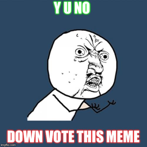 Y U No Meme | Y U NO; DOWN VOTE THIS MEME | image tagged in memes,y u no | made w/ Imgflip meme maker
