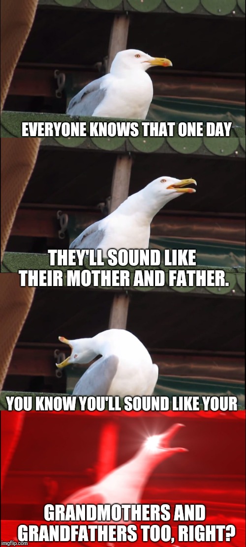 Unexpectedly Expected | EVERYONE KNOWS THAT ONE DAY; THEY'LL SOUND LIKE THEIR MOTHER AND FATHER. YOU KNOW YOU'LL SOUND LIKE YOUR; GRANDMOTHERS AND GRANDFATHERS TOO, RIGHT? | image tagged in memes,inhaling seagull,time,once upon a time,hello darkness my old friend,lolol | made w/ Imgflip meme maker