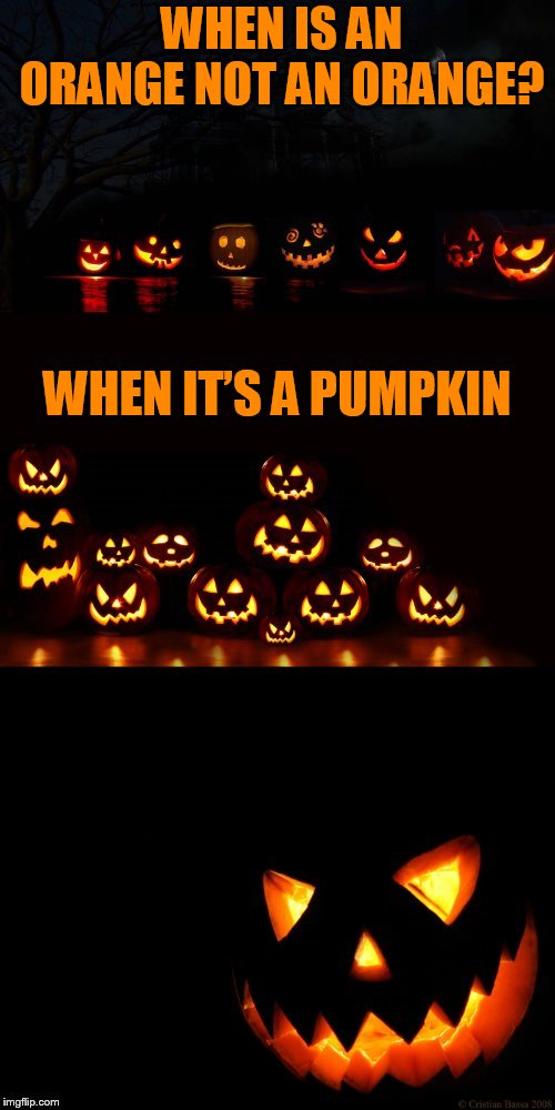 WHEN IS AN ORANGE NOT AN ORANGE? WHEN IT’S A PUMPKIN | made w/ Imgflip meme maker