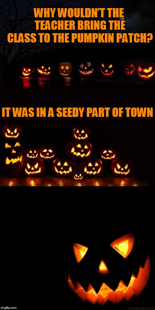 WHY WOULDN’T THE TEACHER BRING THE CLASS TO THE PUMPKIN PATCH? IT WAS IN A SEEDY PART OF TOWN | made w/ Imgflip meme maker